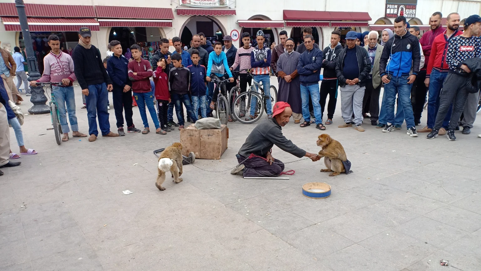 “فن الحلقة” في المغرب بين رحيل الرُوَّاد وغياب الخلف