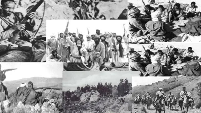 معركة الدشيرة وجلاء آخر جندي أجنبي عن الأقاليم الجنوبية.. محطتان أساسيتان في استكمال الوحدة الترابية