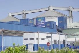 انطلاق موسم قلع الشمندر السكري بدكالة-عبدة