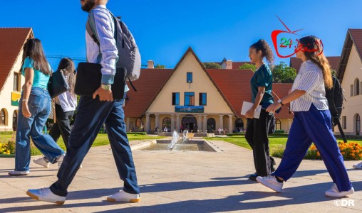 تفوق لافت: جامعة الأخوين تحصد إنجازاً تاريخياً بعلامات قياسية في اختبار التخصص الرئيسي لإدارة الأعمال