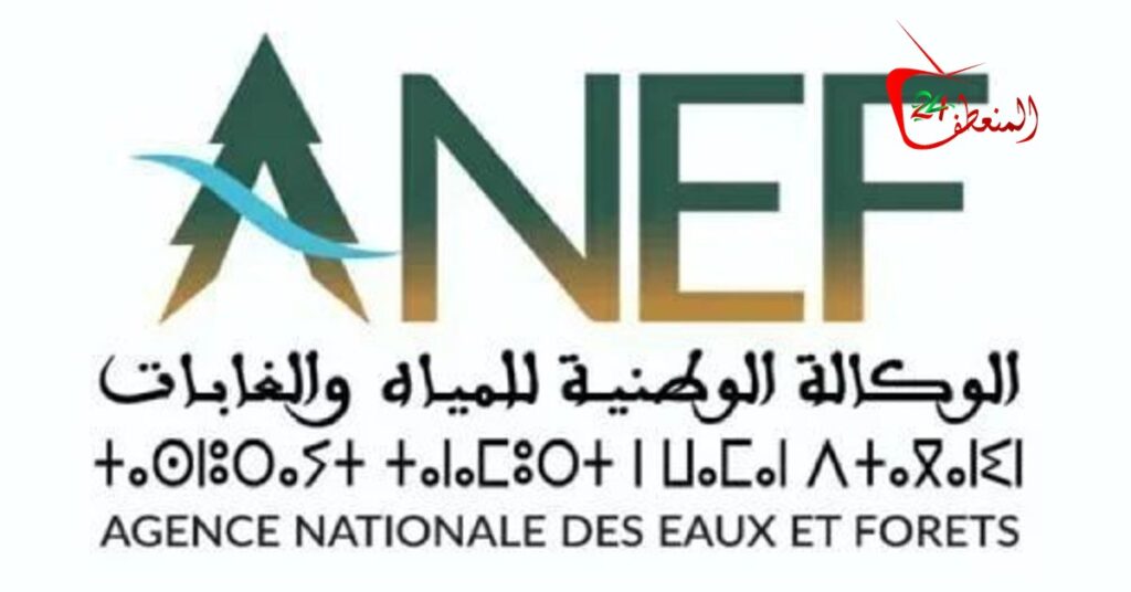 الوكالة الوطنية للمياه والغابات تحين نشرة مخاطر حرائق الغابات للفترة من 6 إلى 12 يوليوز 2026